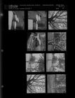 Snowfall (9 Negatives), March 6-8, 1962 [Sleeve 12, Folder c, Box 27]